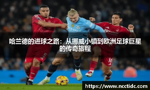 ng28相信品牌的力量